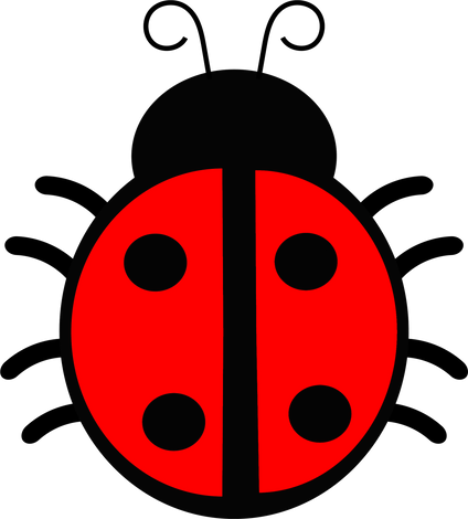 Ladybug Illustration 